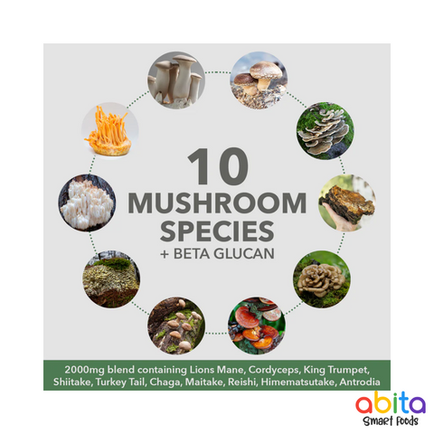 Plant Fusion Organic Mushrooms + Protein