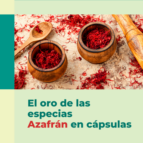 El oro de las especias de Azafrán en cápsulas