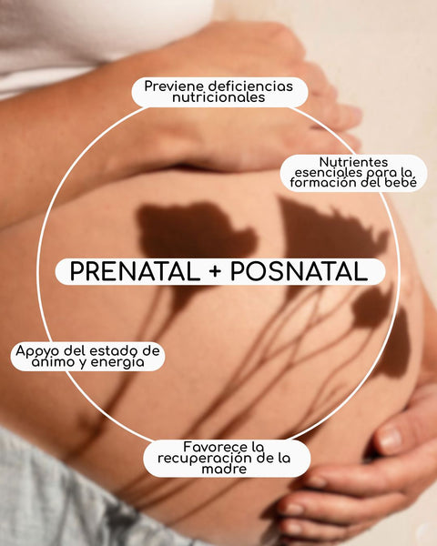 Prenatal + Posnatal