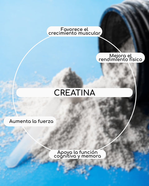 Creatina