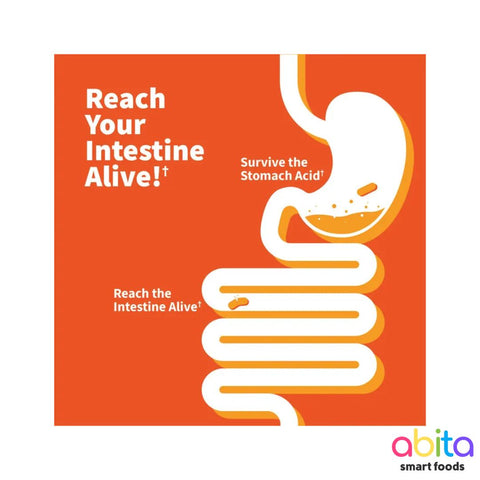 Garden Of Life Dr. Formulated Probiotics Pre + Pro + Post