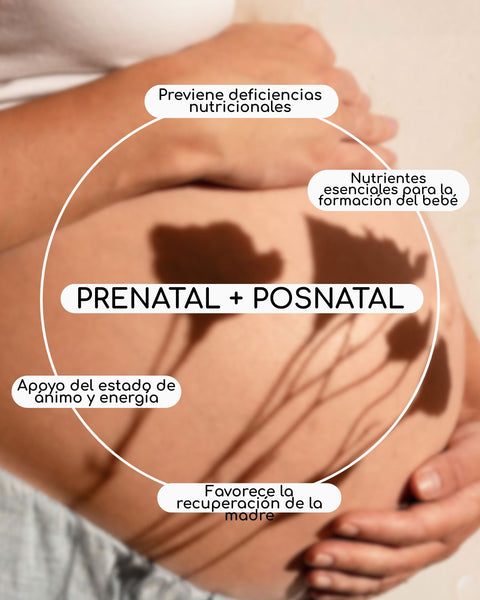 Prenatal + Posnatal