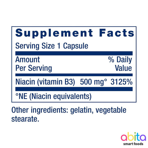 Life Extension Vitamin B3 Niacin