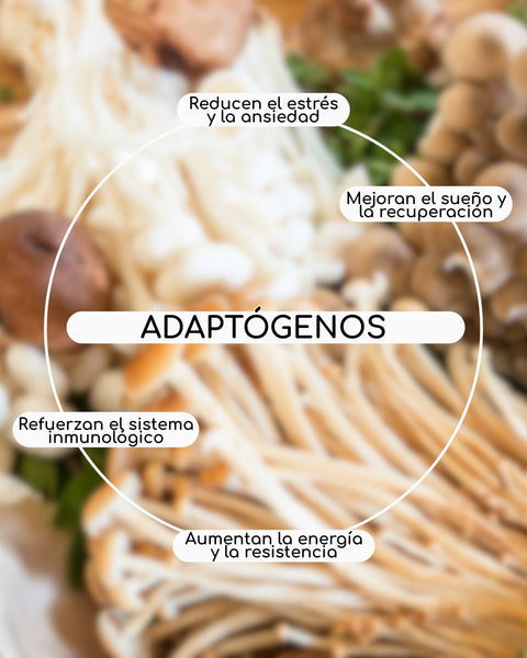 Adaptogens