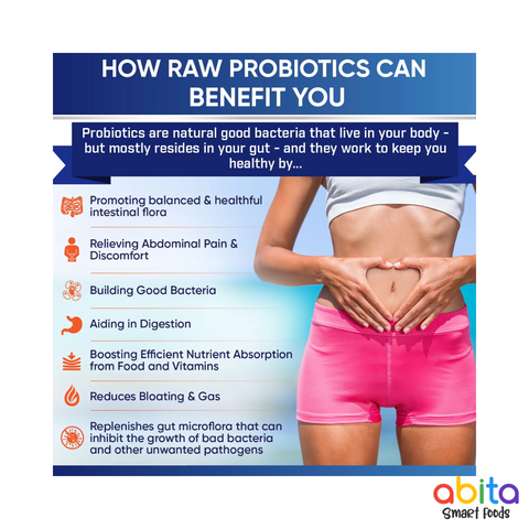 Wholesome Wellness Raw Probiotic