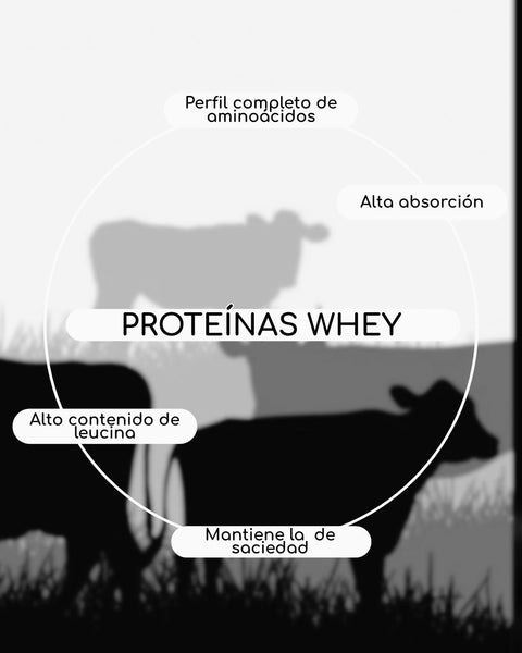 Proteínas Whey