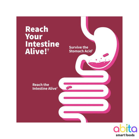 Garden Of Life Dr. Formulated Probiotics Women's Ph