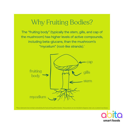 True Grace Lion's Mane